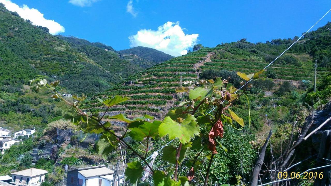 Case Vacanza Reggimonti Cinque Terre Bonassola Extérieur photo